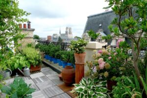 Ogród na dachu domu